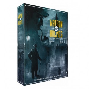 Watson & Holmes (2016)