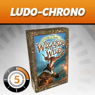 LUDOCHRONO – Wizards of the wild