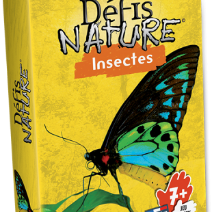 Défis Nature Insectes