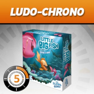 LUDOCHRONO – Little Big Fish