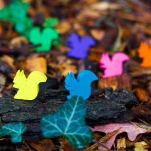 Tu préfères un jeu loufoque ou avec des écureuils ? Ça c&rsquo;est une bonne question !