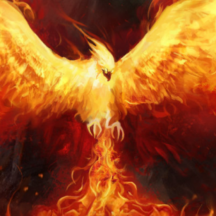 ►  E.D.I.T.O : Il y a un an… Rise of the Phœnix