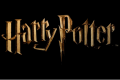 Harry Potter Miniatures Adventure Game ne passera finalement pas sur Kickstarter.