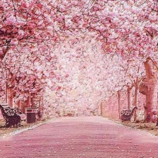 ► E.D.I.T.O : Prenons la température de cette fin de trimestre