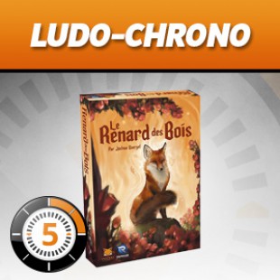 LUDOCHRONO – Le Renard des Bois