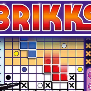 Brikks, le Tetris revu en Roll and Write par W. Warsch
