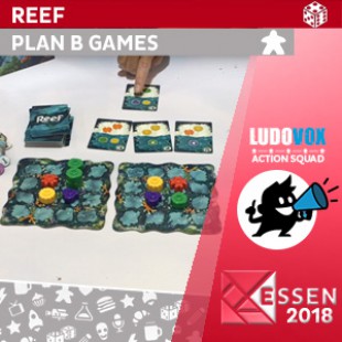Essen 2018 – Reef – Plan B Games