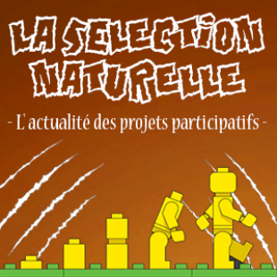 Participatif, la sélection naturelle du lundi 19 novembre 2018