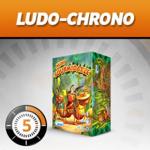 LUDOCHRONO – Mini Fourmidable