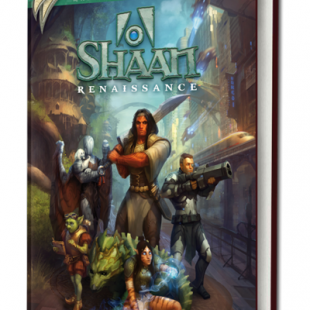 Shaan, vers l’harmonie et au-delà !