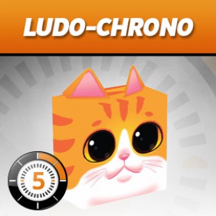LUDOCHRONO – Tour de chats