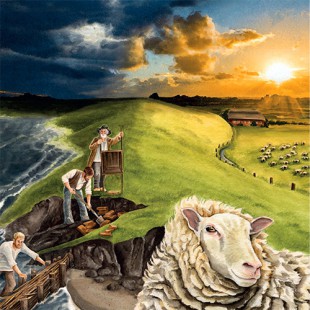 Les Basses Terres – Les moutons ne savent pas nager