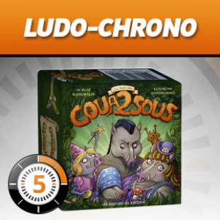 LUDOCHRONO – Le Bois des Coua2sous