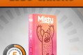 LUDOCHRONO – Misty