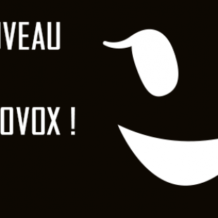 Ludovox présente : ses nouveaux formats vidéos !