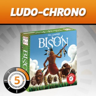 LUDOCHRONO – Bison