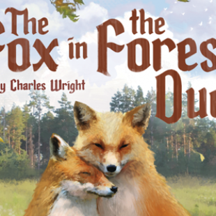 Le renard des bois 2, le retour, plus choupi que jamais