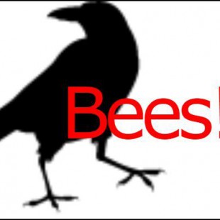 Bees!