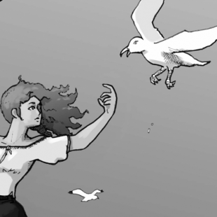 Les foulancements JDR : Novembre 2019