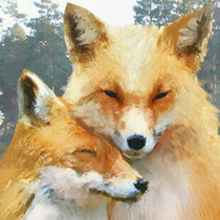 Le Renard des Bois Duo  – L’heure n’est plus à l’affrontement mais à la coopération !