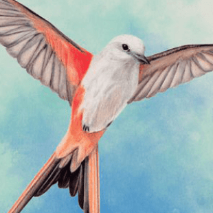 Les Golden Geek Awards 2019 : une hirondelle a fait le printemps