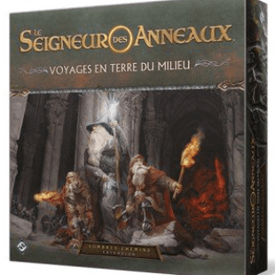 Les Nains écoutèrent en agitant leurs barbes…