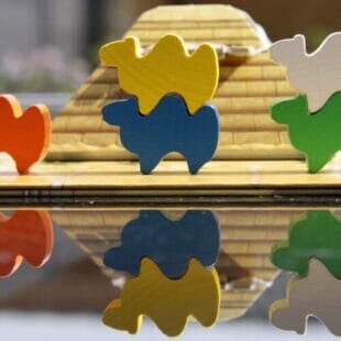 Thématique Ludique : Des chameaux et des jeux