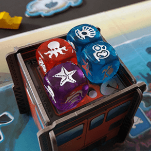 Coralia – À travers les récifs