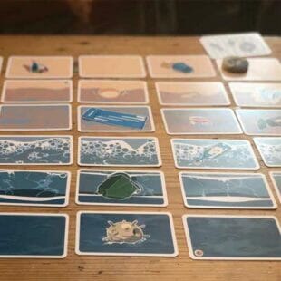 La Marche du Crabe : On en pince pour lui :)