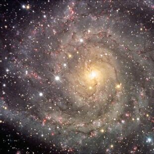 Small is beautiful # 32 : Paris Ville Lumière, Stellar, Papageno, Clip Cut: Parcs, Battle Line Medieval, Knock knock Dungeon et autres joyeusetés