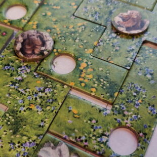 Spring Meadow vaut-il mieux que Cottage Garden et Indian Summer ?