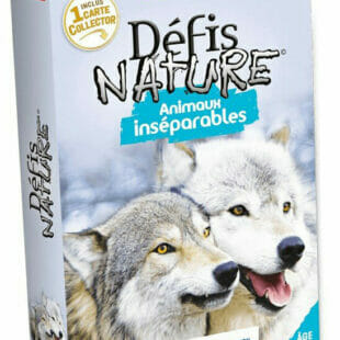 Défis Nature – Animaux Inséparables