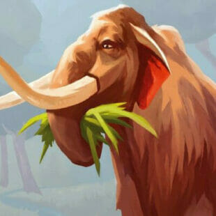 Paléo, jouer la carte de l’aventure