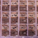 Pandoria Merchants - cartes