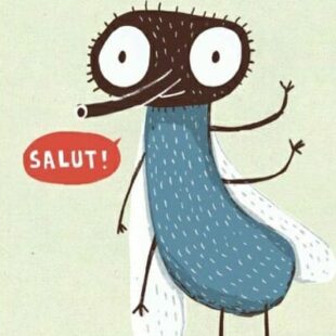 Small is beautiful #41 : Une patate à vélo, Forest, Aqualin, Olé Guacamolé, Blitzkrieg, Gasha, Last Message, Sobek 2 joueurs…