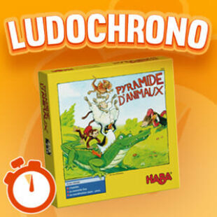 LUDOCHRONO – Pyramide d’animaux
