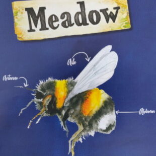 Meadow – Bucolique avant tout