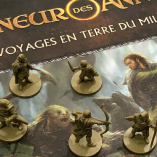 Seigneur des anneaux : voyages en terres pas très inconnues