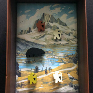 Trails : l&rsquo;ours qui cache la forêt