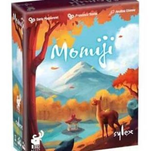 Momiji : les feuilles mortes se ramassent à la pelle