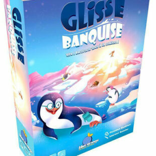 Glisse Banquise