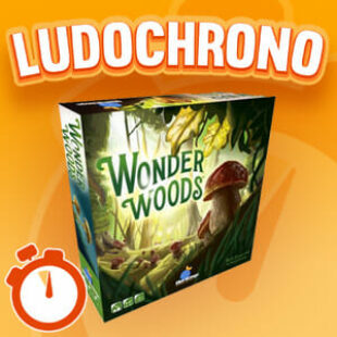 LUDOCHRONO – Wonder Woods