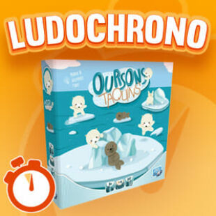 LUDOCHRONO – Oursons Taquins