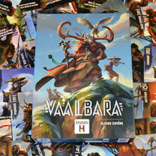 Vaalbara – collection, interaction, libertaliation