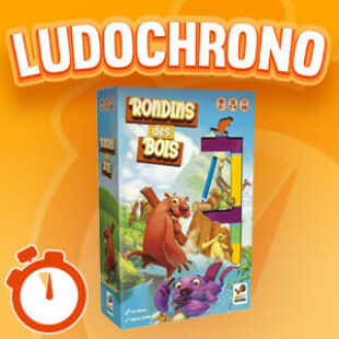 LUDOCHRONO – Rondins des Bois