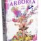 Arborea