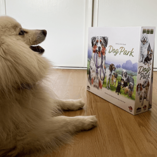 Les mordus de Dog Park