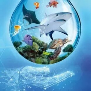 Ark Nova: Mondes marins