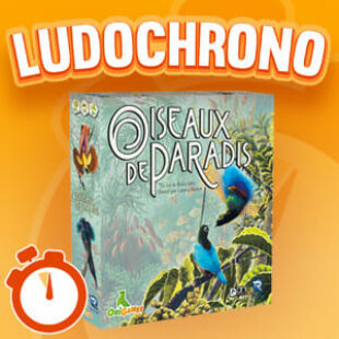 LUDOCHRONO – Oiseaux de paradis