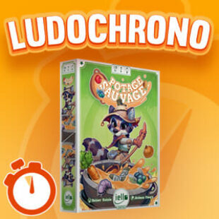 LUDOCHRONO – Potage Sauvage